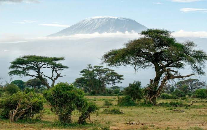 4-Day Amboseli & Tsavo West Safari
