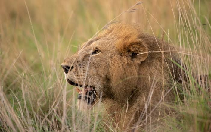 6-Day Amboseli & Tsavo Safari