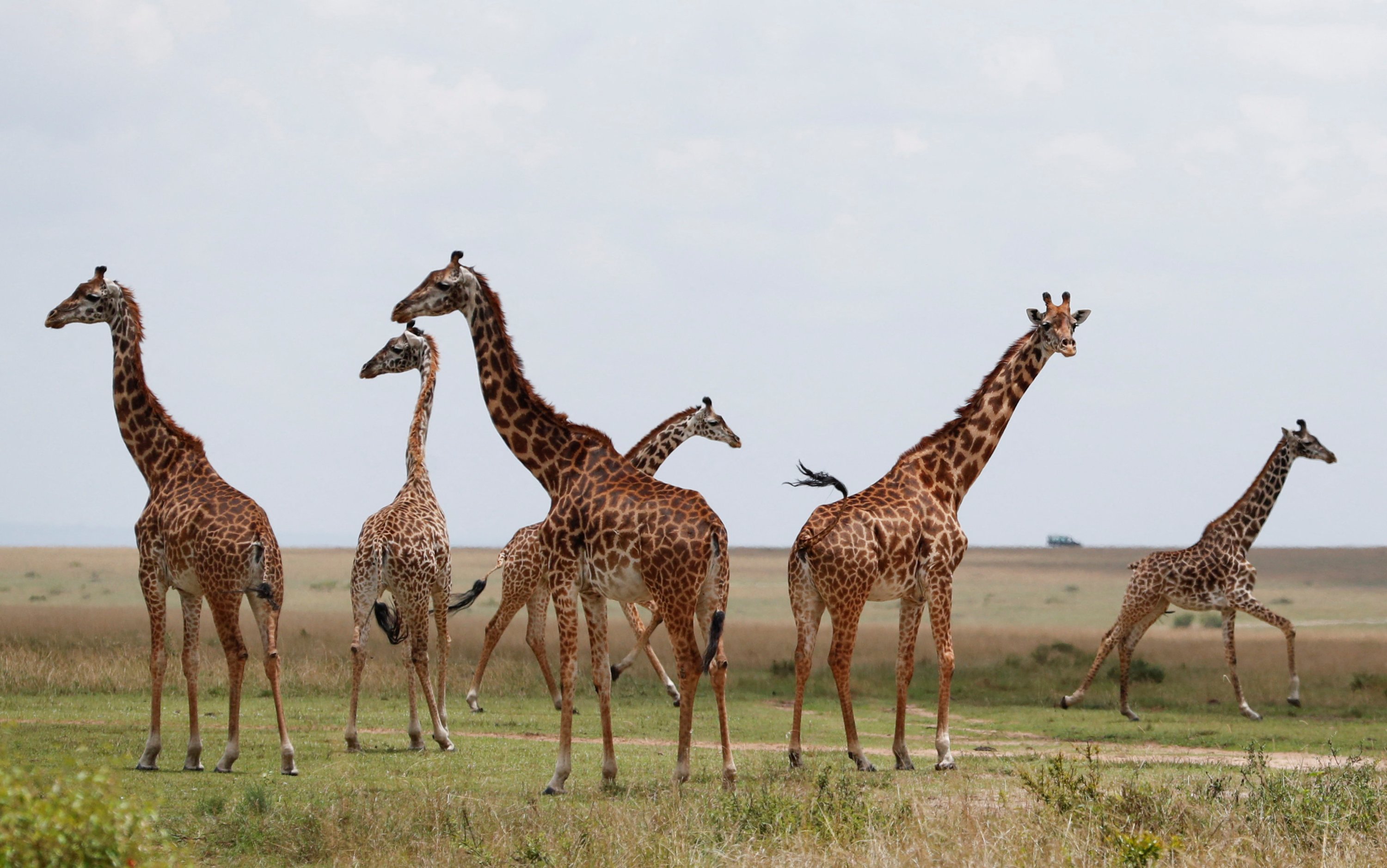 3-Day Masai Mara Safari