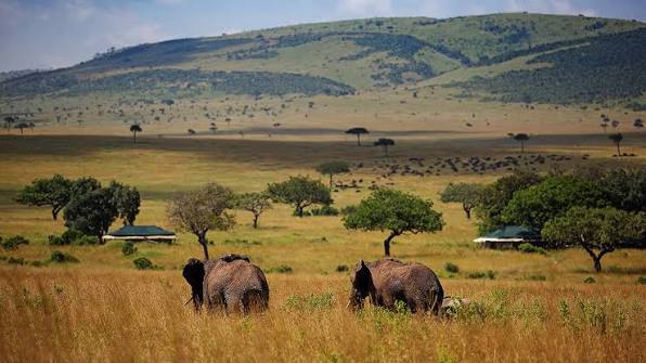 4-Day Masai Mara Safari