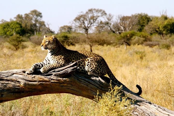 5-Day Samburu Safari